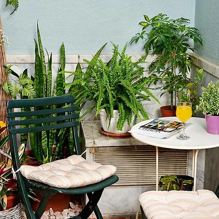 شقة Garden Saldanha *