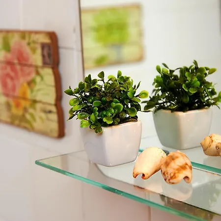 شقة Garden Saldanha *