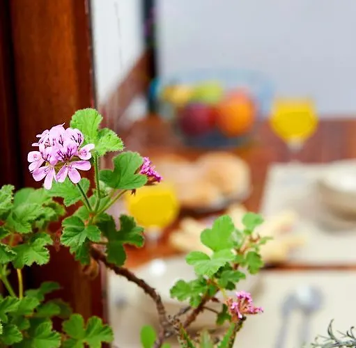 شقة Garden Saldanha Lisboa