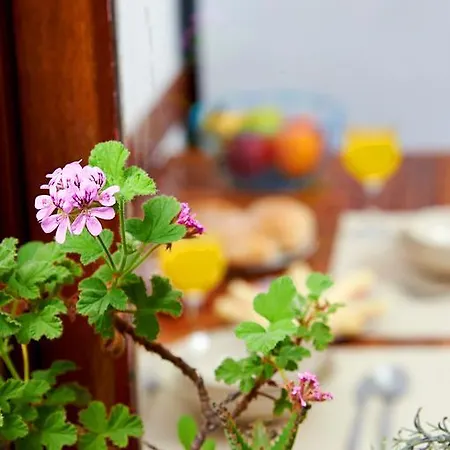 Appartement Garden Saldanha Lissabon