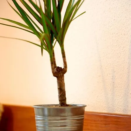 Appartement Garden Saldanha Lissabon